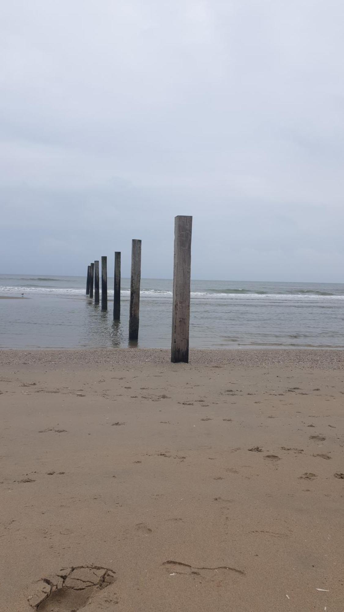 Rembrandts Beach View Zandvoort Exterior photo